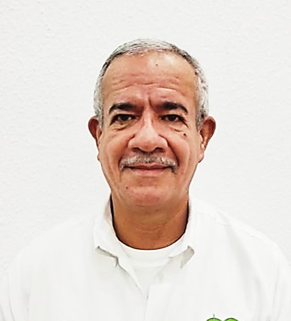 Descripción de la imagen 1