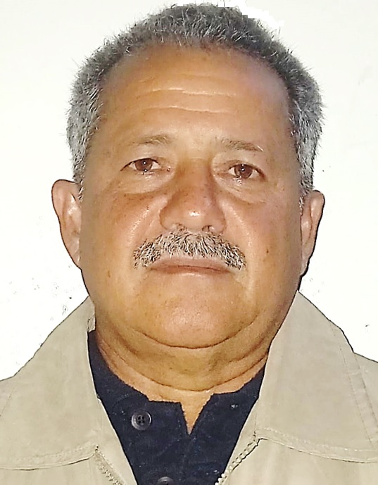 Descripción de la imagen 1